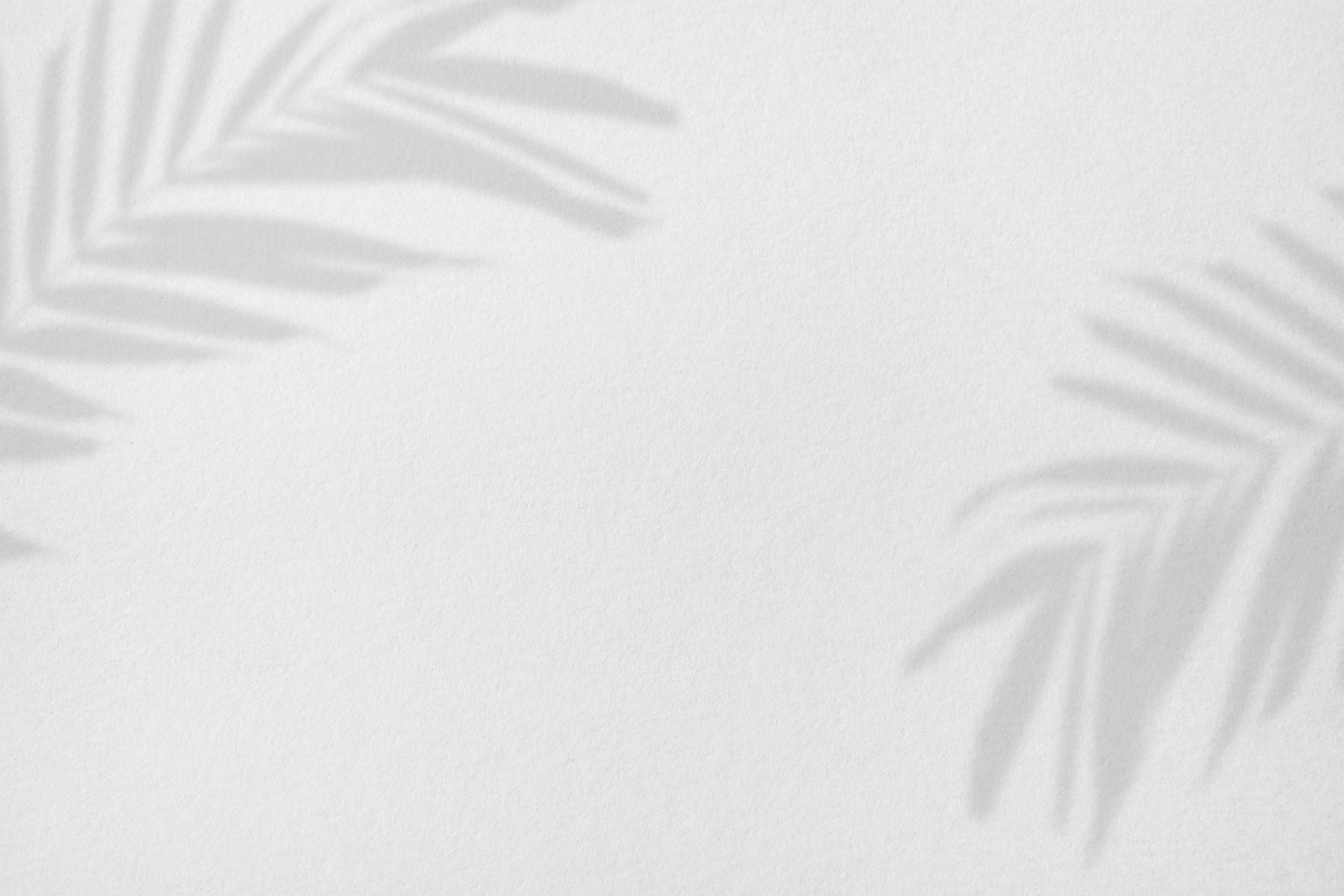 Wallpaper Paper Background and Leaf Shadow